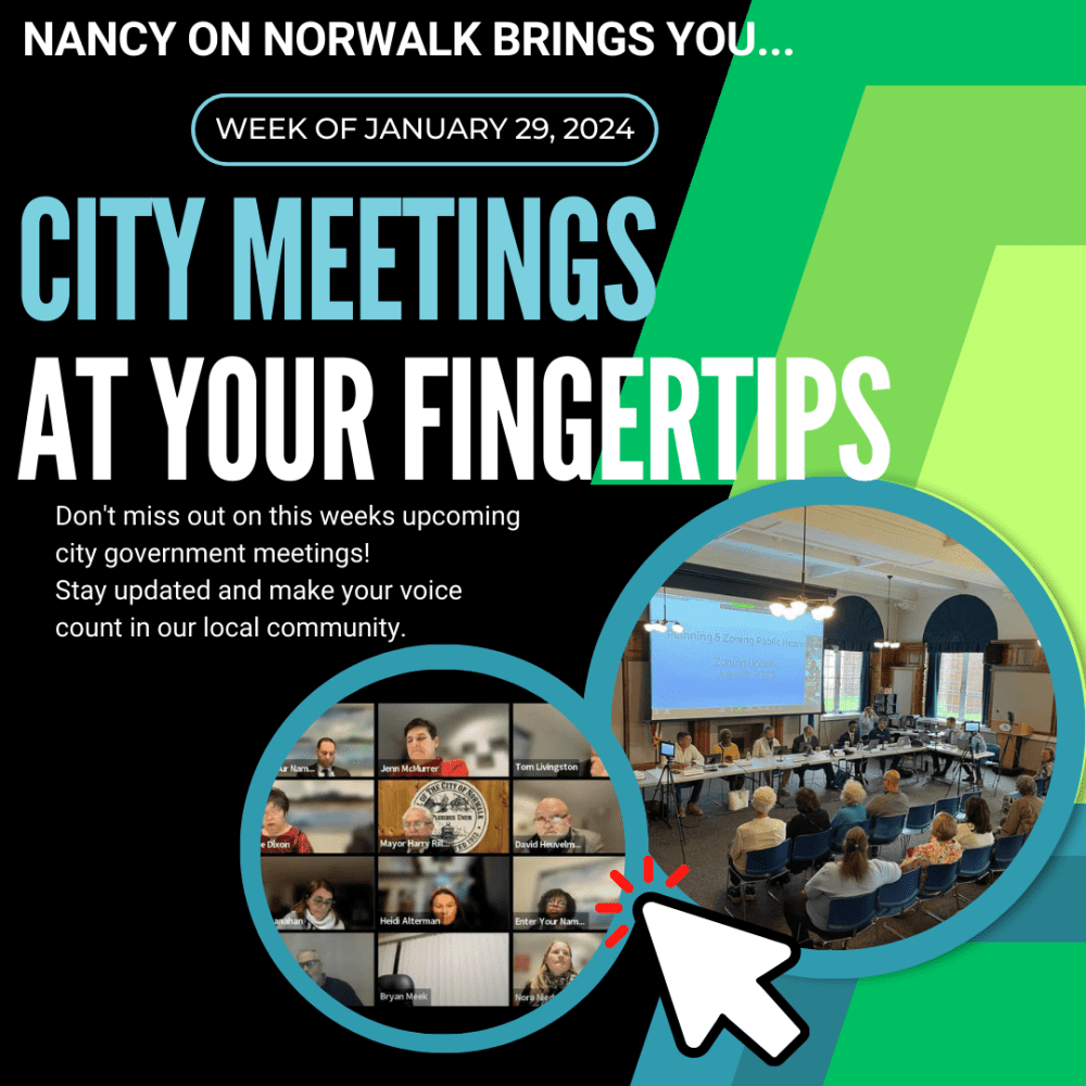 Upcoming City Government Meetings-Week of January 29, 2024-At your fingertips... - Vimarsana News